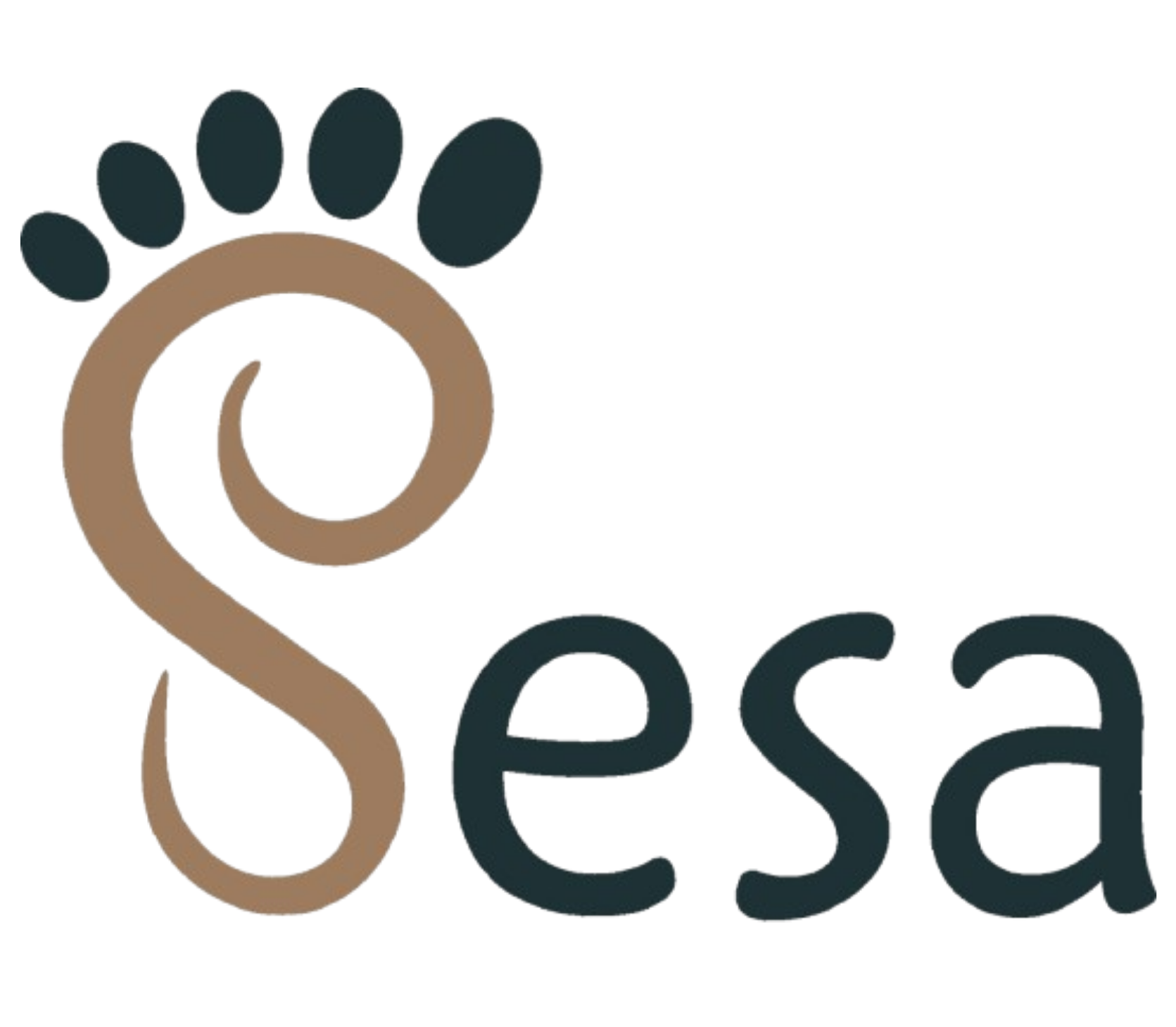 Logo Sesa Refleksi